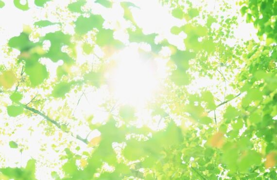 カラダのプロが教える、　小中学生向けのストレッチ教室開催！ホクセイ整体院大府